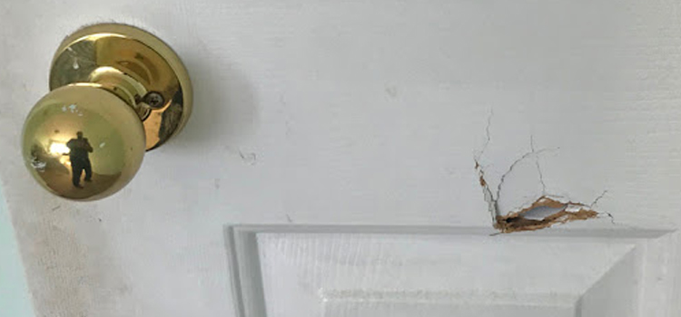 interior door hole repair Prunedale